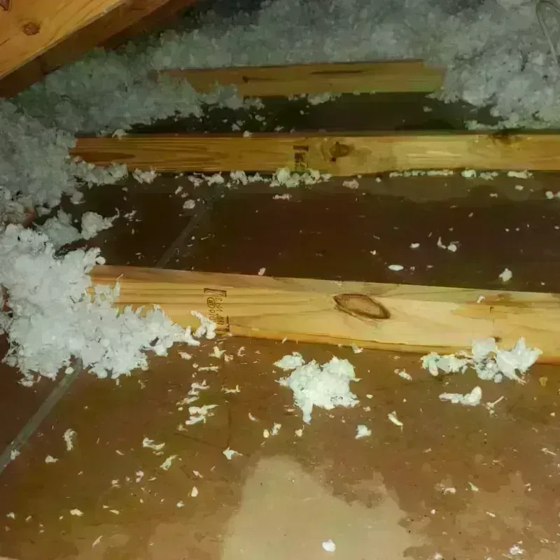 Attic Water Damage in Asotin, WA