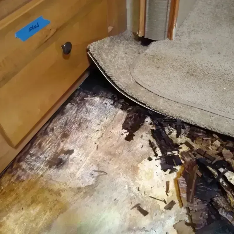 Wood Floor Water Damage in Asotin, WA